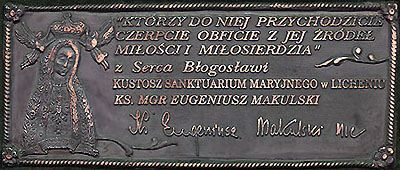 Plaque Image Model