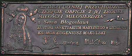 Plaque Image Model
